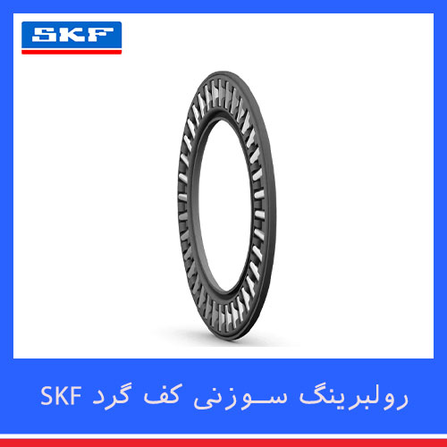 skf-cylindrical-thrust-rollerbearing-Row2