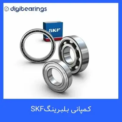 SKF companyinfo box